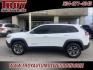 2019 Bright White Clearcoat /Black Jeep Cherokee Trailhawk (1C4PJMBXXKD) with an 3.2L V6 engine, Automatic transmission, located at 6812 Atlanta Hwy, Montgomery, AL, 36117, (334) 271-4045, 32.382118, -86.178673 - Photo#15