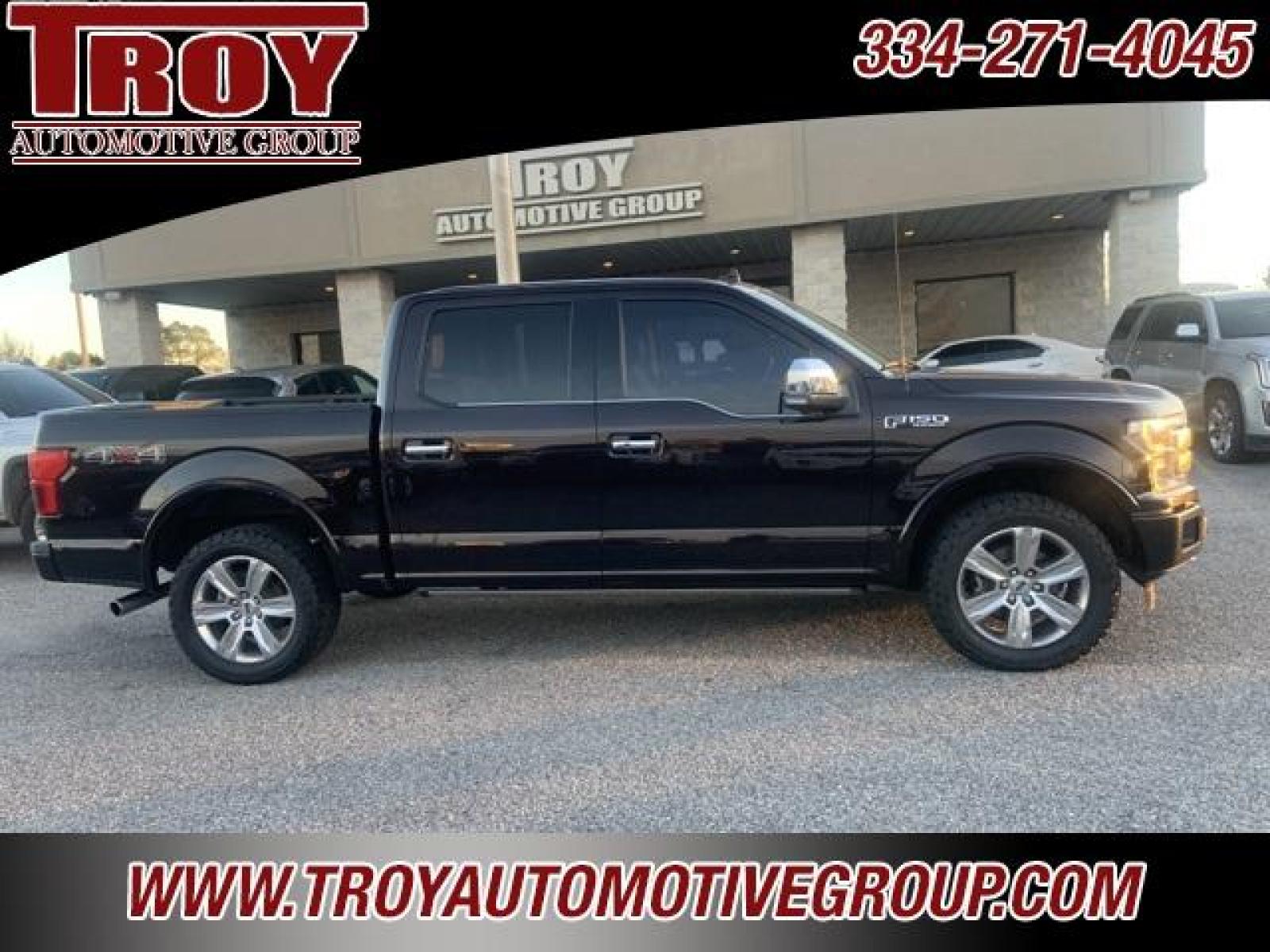 2018 Magma Red /Dark Marsala Ford F-150 Platinum (1FTEW1EG6JF) with an 3.5L V6 engine, Automatic transmission, located at 6812 Atlanta Hwy, Montgomery, AL, 36117, (334) 271-4045, 32.382118, -86.178673 - Photo #9