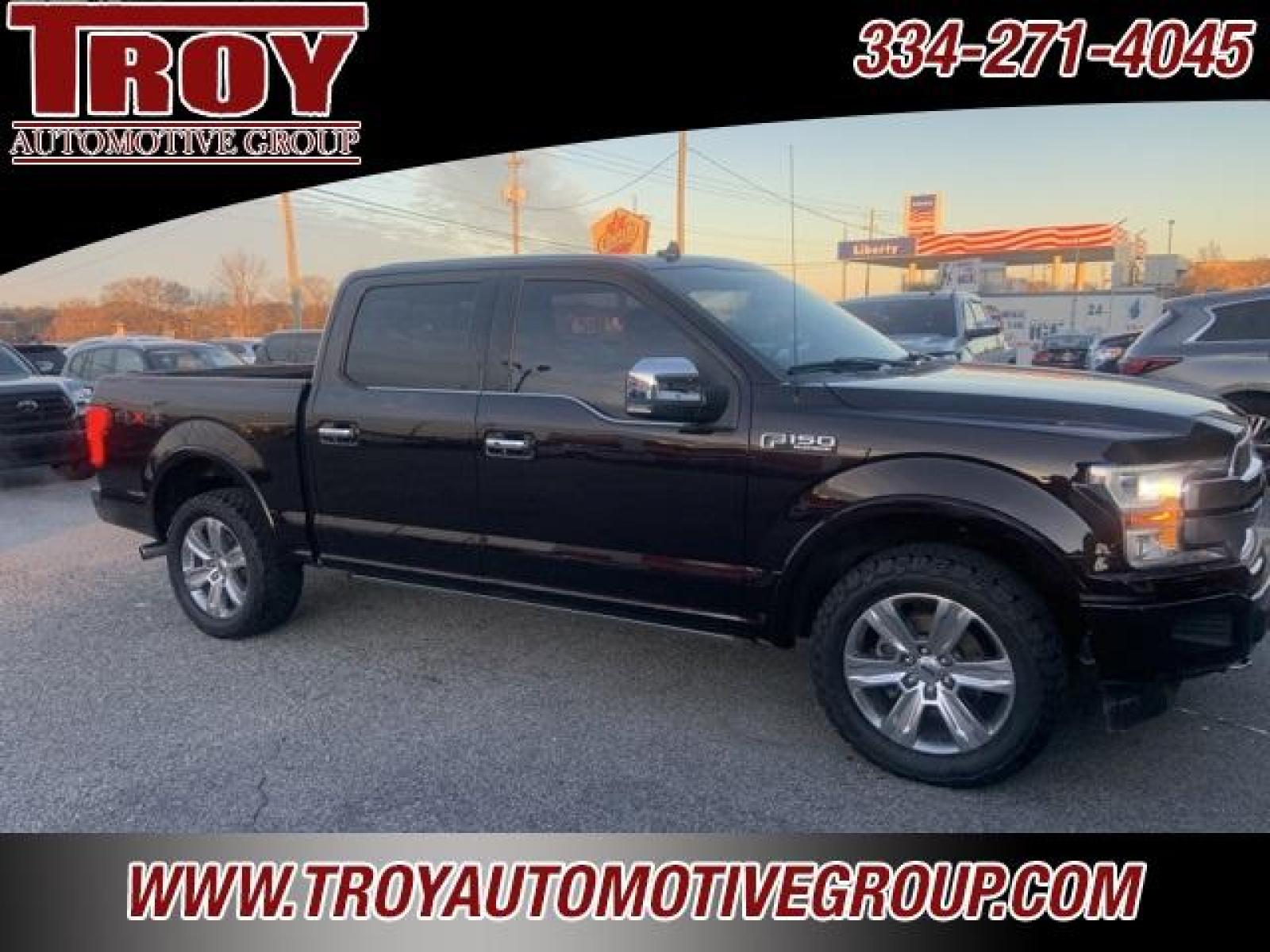 2018 Magma Red /Dark Marsala Ford F-150 Platinum (1FTEW1EG6JF) with an 3.5L V6 engine, Automatic transmission, located at 6812 Atlanta Hwy, Montgomery, AL, 36117, (334) 271-4045, 32.382118, -86.178673 - Photo #14