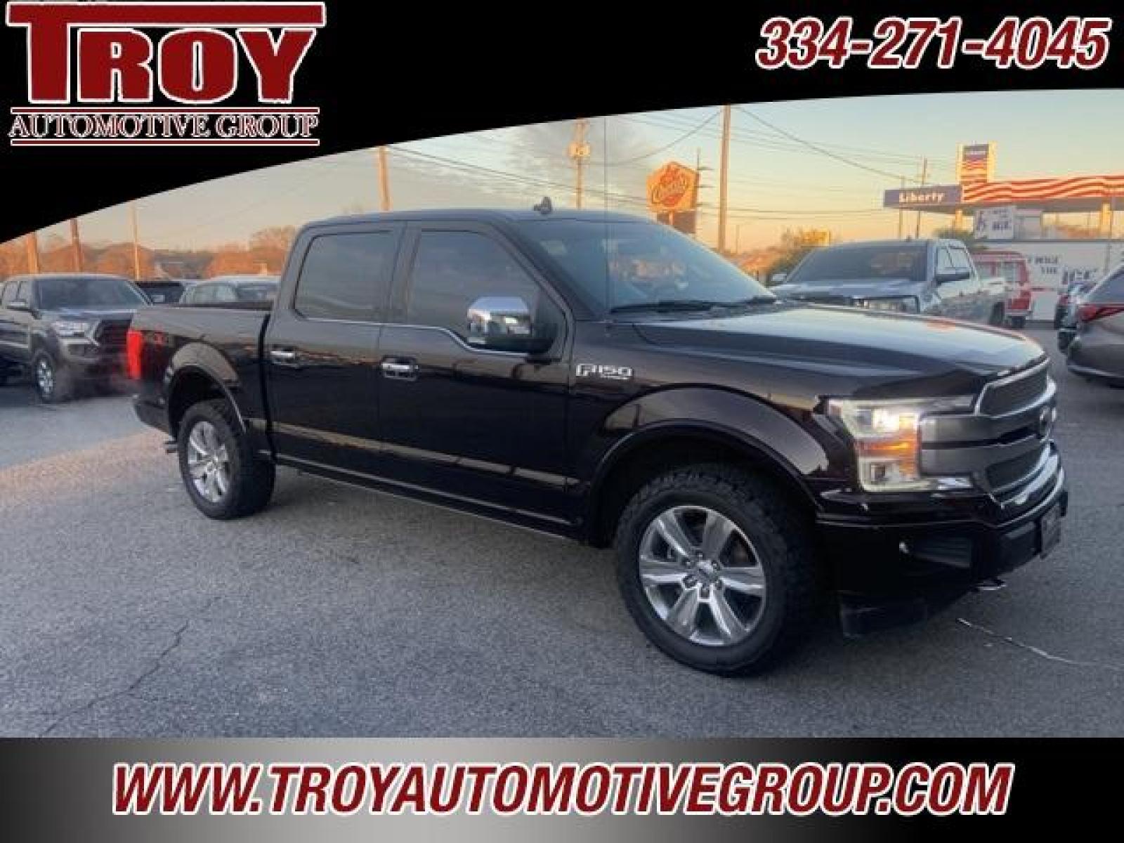 2018 Magma Red /Dark Marsala Ford F-150 Platinum (1FTEW1EG6JF) with an 3.5L V6 engine, Automatic transmission, located at 6812 Atlanta Hwy, Montgomery, AL, 36117, (334) 271-4045, 32.382118, -86.178673 - Photo #15