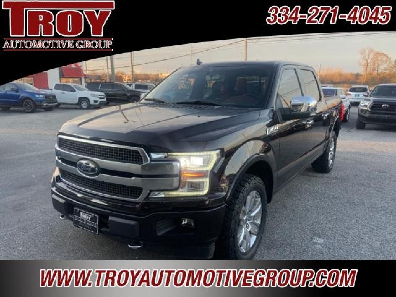 2018 Magma Red /Dark Marsala Ford F-150 Platinum (1FTEW1EG6JF) with an 3.5L V6 engine, Automatic transmission, located at 6812 Atlanta Hwy, Montgomery, AL, 36117, (334) 271-4045, 32.382118, -86.178673 - Photo #17