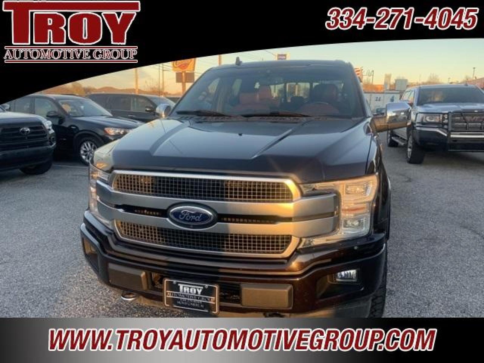 2018 Magma Red /Dark Marsala Ford F-150 Platinum (1FTEW1EG6JF) with an 3.5L V6 engine, Automatic transmission, located at 6812 Atlanta Hwy, Montgomery, AL, 36117, (334) 271-4045, 32.382118, -86.178673 - Photo #5