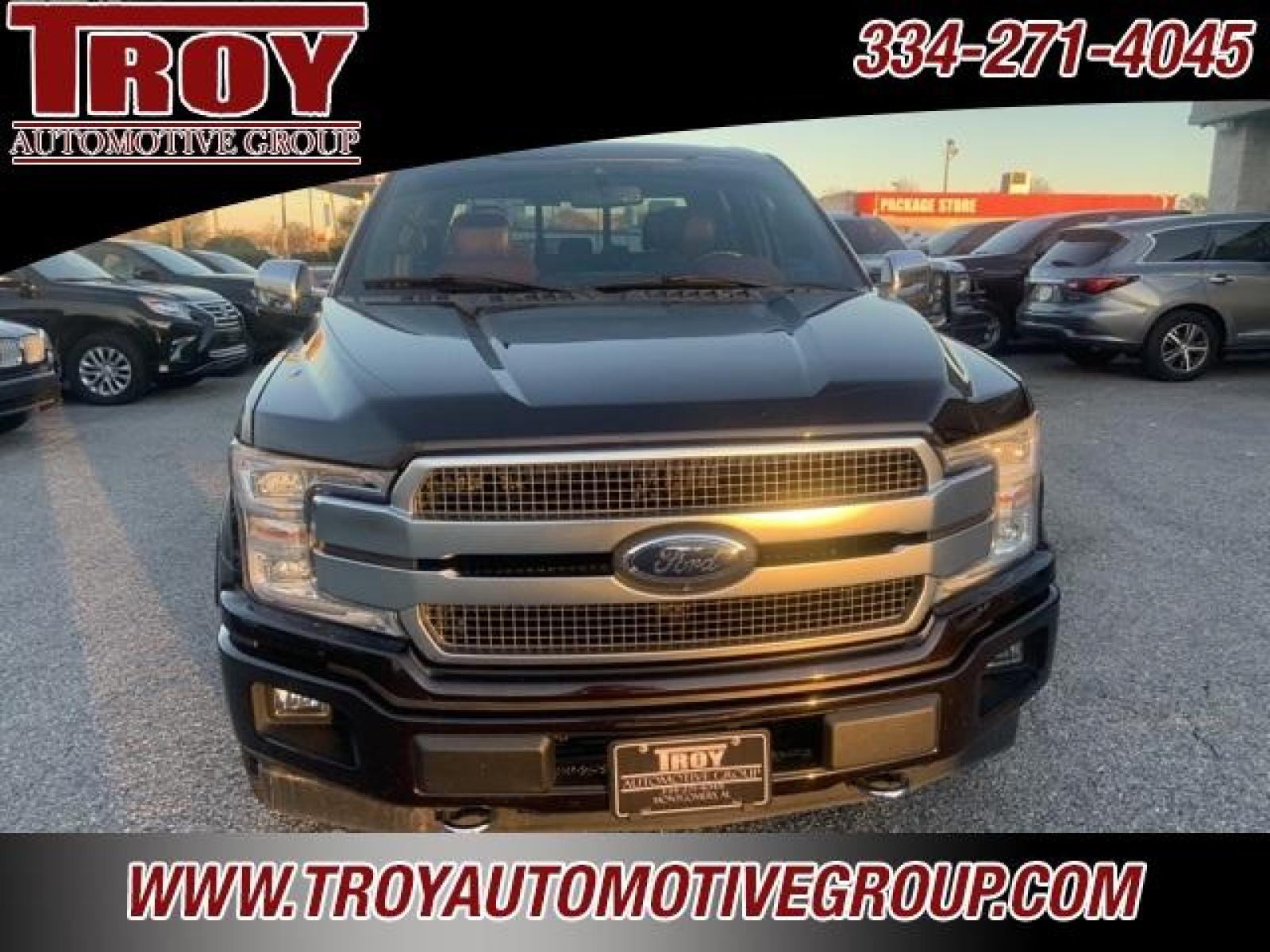 2018 Magma Red /Dark Marsala Ford F-150 Platinum (1FTEW1EG6JF) with an 3.5L V6 engine, Automatic transmission, located at 6812 Atlanta Hwy, Montgomery, AL, 36117, (334) 271-4045, 32.382118, -86.178673 - Photo #6