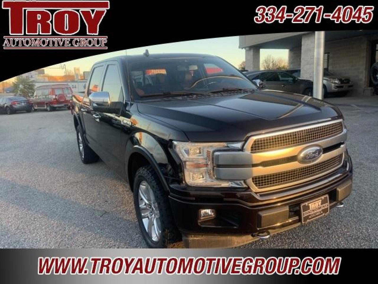 2018 Magma Red /Dark Marsala Ford F-150 Platinum (1FTEW1EG6JF) with an 3.5L V6 engine, Automatic transmission, located at 6812 Atlanta Hwy, Montgomery, AL, 36117, (334) 271-4045, 32.382118, -86.178673 - Photo #7