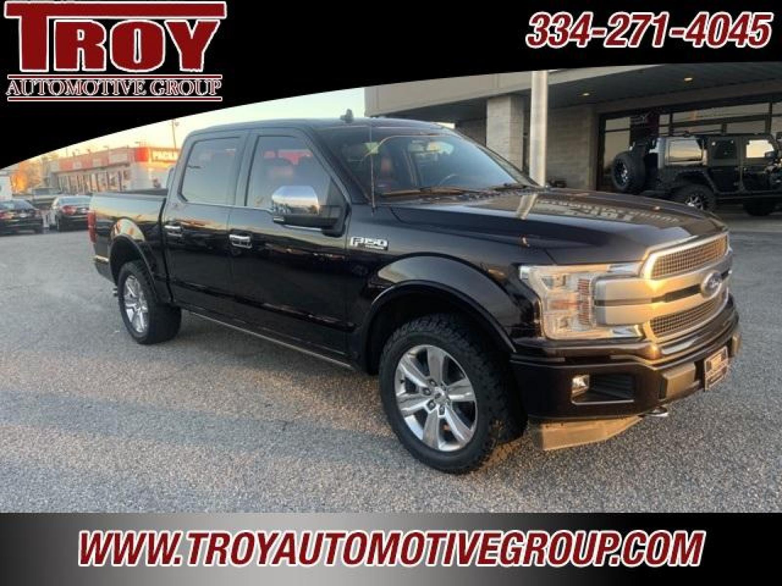 2018 Magma Red /Dark Marsala Ford F-150 Platinum (1FTEW1EG6JF) with an 3.5L V6 engine, Automatic transmission, located at 6812 Atlanta Hwy, Montgomery, AL, 36117, (334) 271-4045, 32.382118, -86.178673 - Photo #8