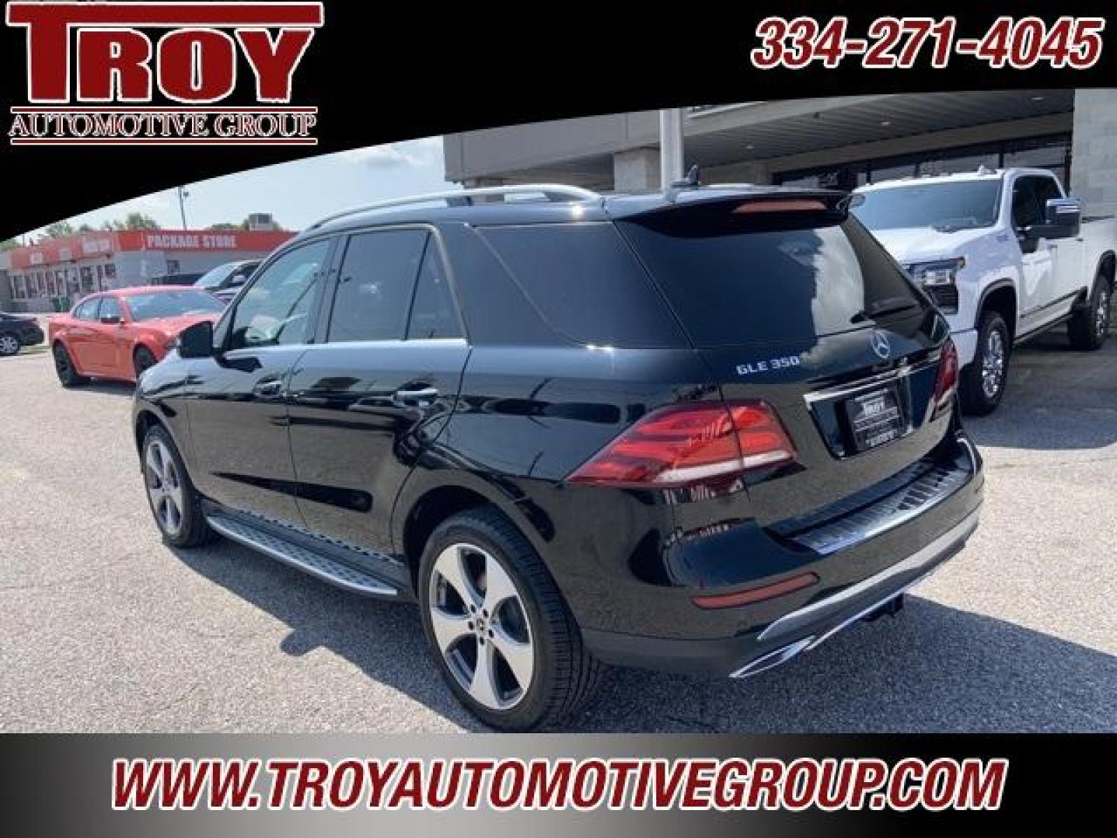 2018 Black /Black Mercedes-Benz GLE GLE 350 (4JGDA5JB9JB) with an 3.5L V6 DOHC 24V engine, Automatic transmission, located at 6812 Atlanta Hwy, Montgomery, AL, 36117, (334) 271-4045, 32.382118, -86.178673 - Photo #14