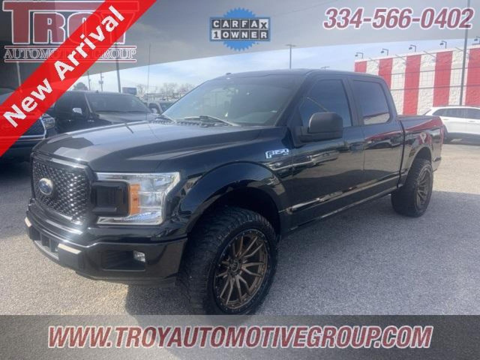 2019 Black /Dark Earth Gray Ford F-150 XL (1FTEW1CPXKK) with an 2.7L V6 EcoBoost engine, Automatic transmission, located at 6812 Atlanta Hwy, Montgomery, AL, 36117, (334) 271-4045, 32.382118, -86.178673 - Photo #11