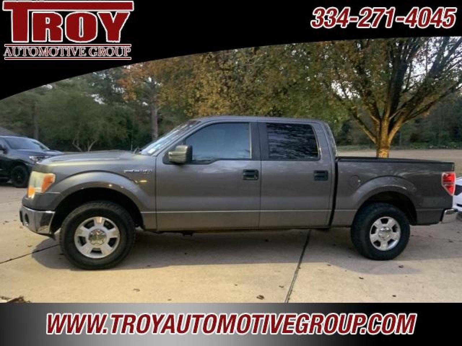 2013 Sterling Gray Metallic /Steel Gray Ford F-150 XLT (1FTEW1CM5DF) with an 3.7L V6 FFV engine, Automatic transmission, located at 6812 Atlanta Hwy, Montgomery, AL, 36117, (334) 271-4045, 32.382118, -86.178673 - 1-OWNER!!<br>Alloys!! - Photo #1