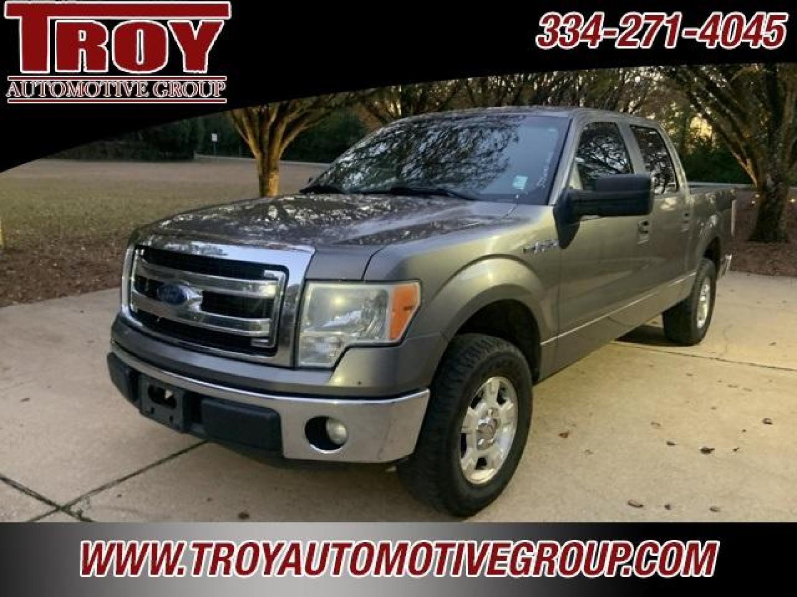 2013 Sterling Gray Metallic /Steel Gray Ford F-150 XLT (1FTEW1CM5DF) with an 3.7L V6 FFV engine, Automatic transmission, located at 6812 Atlanta Hwy, Montgomery, AL, 36117, (334) 271-4045, 32.382118, -86.178673 - Photo #7