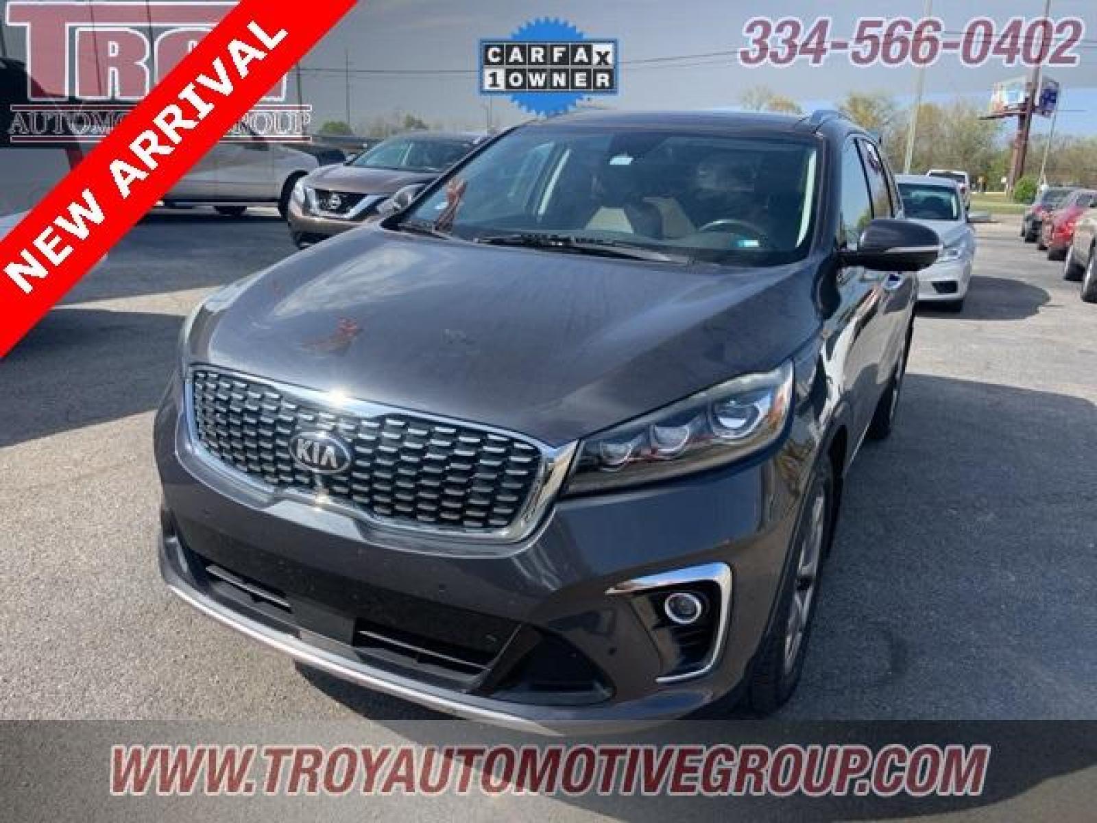 2019 Platinum Graphite /Satin Black Kia Sorento SX (5XYPK4A58KG) with an V6 engine, Automatic transmission, located at 6812 Atlanta Hwy, Montgomery, AL, 36117, (334) 271-4045, 32.382118, -86.178673 - 1-Owner!!<br>Local Trade!!<br>Panoramic Sunroof!! - Photo #4