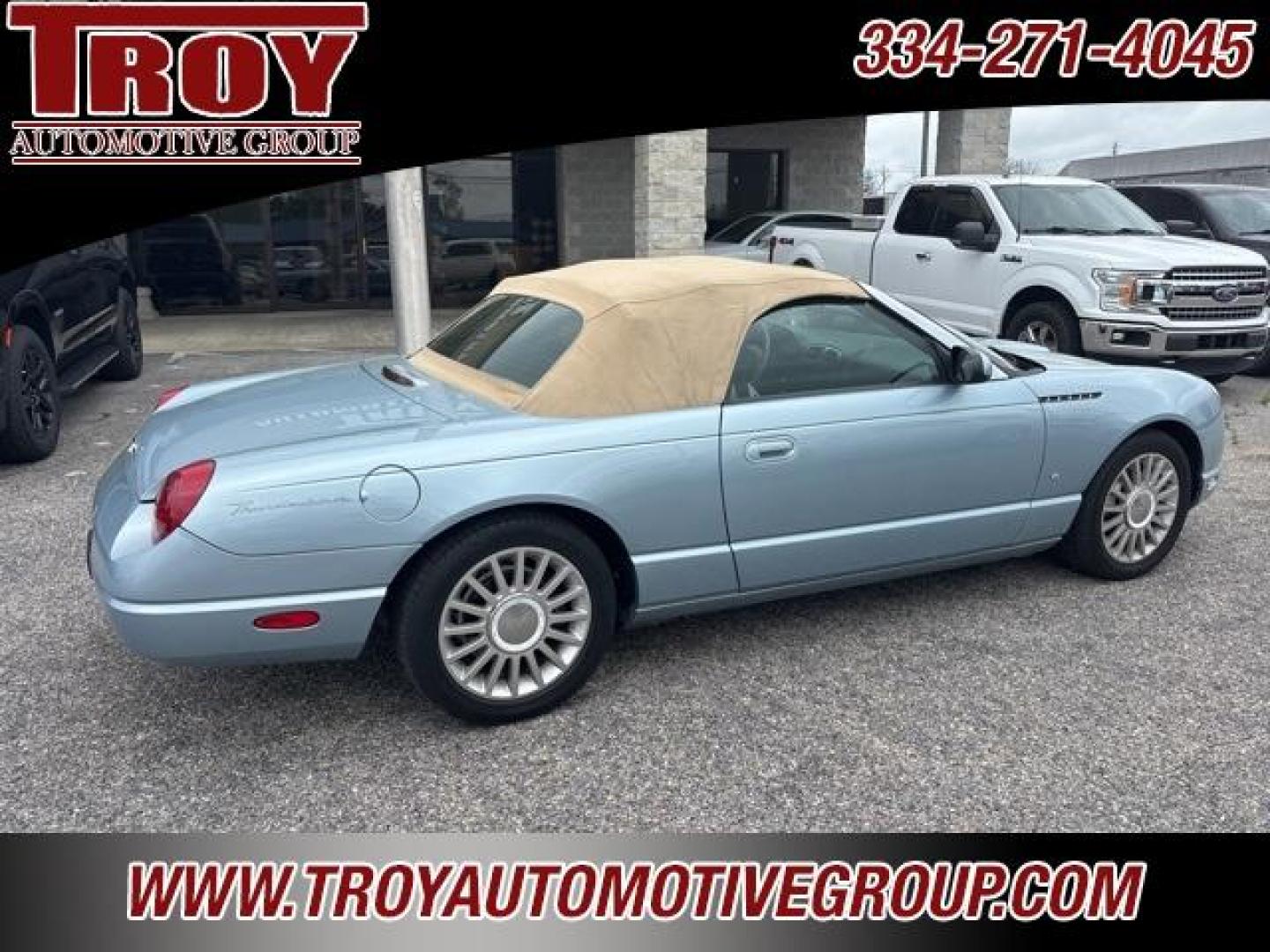2004 Light Ice Blue Metallic /Light Sand Ford Thunderbird Base (1FAHP60A44Y) with an 3.9L V8 DOHC 32V engine, Automatic transmission, located at 6812 Atlanta Hwy, Montgomery, AL, 36117, (334) 271-4045, 32.382118, -86.178673 - Photo#9