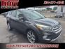 2017 Magnetic /Medium Light Stone Ford Escape Titanium (1FMCU0JD9HU) with an 1.5L EcoBoost engine, Automatic transmission, located at 6812 Atlanta Hwy, Montgomery, AL, 36117, (334) 271-4045, 32.382118, -86.178673 - Photo#5