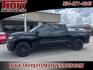 2022 Black /Black Chevrolet Silverado 1500 RST (2GCUDEED2N1) with an EcoTec3 5.3L V8 engine, Automatic transmission, located at 6812 Atlanta Hwy, Montgomery, AL, 36117, (334) 271-4045, 32.382118, -86.178673 - Recent Arrival! Priced below KBB Fair Purchase Price!<br><br>Black 2022 Chevrolet Silverado 1500 RST 4WD EcoTec3 5.3L V8 10-Speed Automatic<br><br>Financing Available---Top Value for Trades.<br><br>Odometer is 3424 miles below market average! - Photo#2