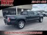 2009 Black Sand Pearl /Graphite Toyota Tacoma PreRunner (3TMKU72NX9M) with an 4.0L V6 SMPI DOHC engine, Automatic transmission, located at 6812 Atlanta Hwy, Montgomery, AL, 36117, (334) 271-4045, 32.382118, -86.178673 - 1-Owner!!<br>TRD Sport Package!!<br>Tow Package!!<br>All Power Options!!<br>New BF Goodrich Tires!!<br>Remote Entry w/2-Master Keys <br>Back Up Camera!!<br>Paint faded on roof. - Photo#12