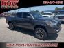 2022 Gray /Cement Toyota Tacoma (3TMCZ5AN0NM) with an 3.5L V6 PDI DOHC 24V LEV3-ULEV70 278hp engine, Automatic transmission, located at 6812 Atlanta Hwy, Montgomery, AL, 36117, (334) 271-4045, 32.382118, -86.178673 - Photo#8