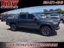 2022 Gray /Cement Toyota Tacoma (3TMCZ5AN0NM) with an 3.5L V6 PDI DOHC 24V LEV3-ULEV70 278hp engine, Automatic transmission, located at 6812 Atlanta Hwy, Montgomery, AL, 36117, (334) 271-4045, 32.382118, -86.178673 - Photo#9