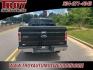 2013 Tuxedo Black Metallic /Steel Gray Ford F-150 XLT (1FTFW1CF3DF) with an 5.0L V8 FFV engine, Automatic transmission, located at 6812 Atlanta Hwy, Montgomery, AL, 36117, (334) 271-4045, 32.382118, -86.178673 - Black 2013 Ford F-150 XLT RWD 5.0L V8 FFV 6-Speed Automatic Electronic<br><br>Financing Available---Top Value for Trades.<br><br>Odometer is 91686 miles below market average!<br><br><br>Awards:<br> * 2013 KBB.com Brand Image Awards - Photo#5