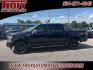 2018 Shadow Black /Black Ford F-150 XLT (1FTEW1E5XJK) with an 5.0L V8 engine, Automatic transmission, located at 6812 Atlanta Hwy, Montgomery, AL, 36117, (334) 271-4045, 32.382118, -86.178673 - Sport Appearance Package!!<br>Heated Seats!!<br>Power Driver Seat!!<br>Tow Package!!<br>2-Master Remote Keys!! <br>Navigation!!<br>Pro Trailer Back up Assist!!<br> - Photo#1