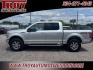 2016 Ingot Silver /Medium Earth Gray Ford F-150 XLT (1FTEW1EG1GF) with an 3.5L V6 engine, Automatic transmission, located at 6812 Atlanta Hwy, Montgomery, AL, 36117, (334) 271-4045, 32.382118, -86.178673 - Leather Interior!!<br>Dual Power Front Seats!!<br>Heated Seats!!<br>Pro Trailer Back Up Camera!!<br>New 35x11.50x18 Tires!! - Photo#1