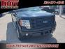 2014 Tuxedo Black Metallic /Black Ford F-150 STX (1FTFX1EF9EF) with an 5.0L V8 FFV engine, Automatic transmission, located at 6812 Atlanta Hwy, Montgomery, AL, 36117, (334) 271-4045, 32.382118, -86.178673 - 1-Owner!!<br>20 Premium Wheels!!<br>Tow Package!! - Photo#6
