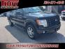 2014 Tuxedo Black Metallic /Black Ford F-150 STX (1FTFX1EF9EF) with an 5.0L V8 FFV engine, Automatic transmission, located at 6812 Atlanta Hwy, Montgomery, AL, 36117, (334) 271-4045, 32.382118, -86.178673 - 1-Owner!!<br>20 Premium Wheels!!<br>Tow Package!! - Photo#7