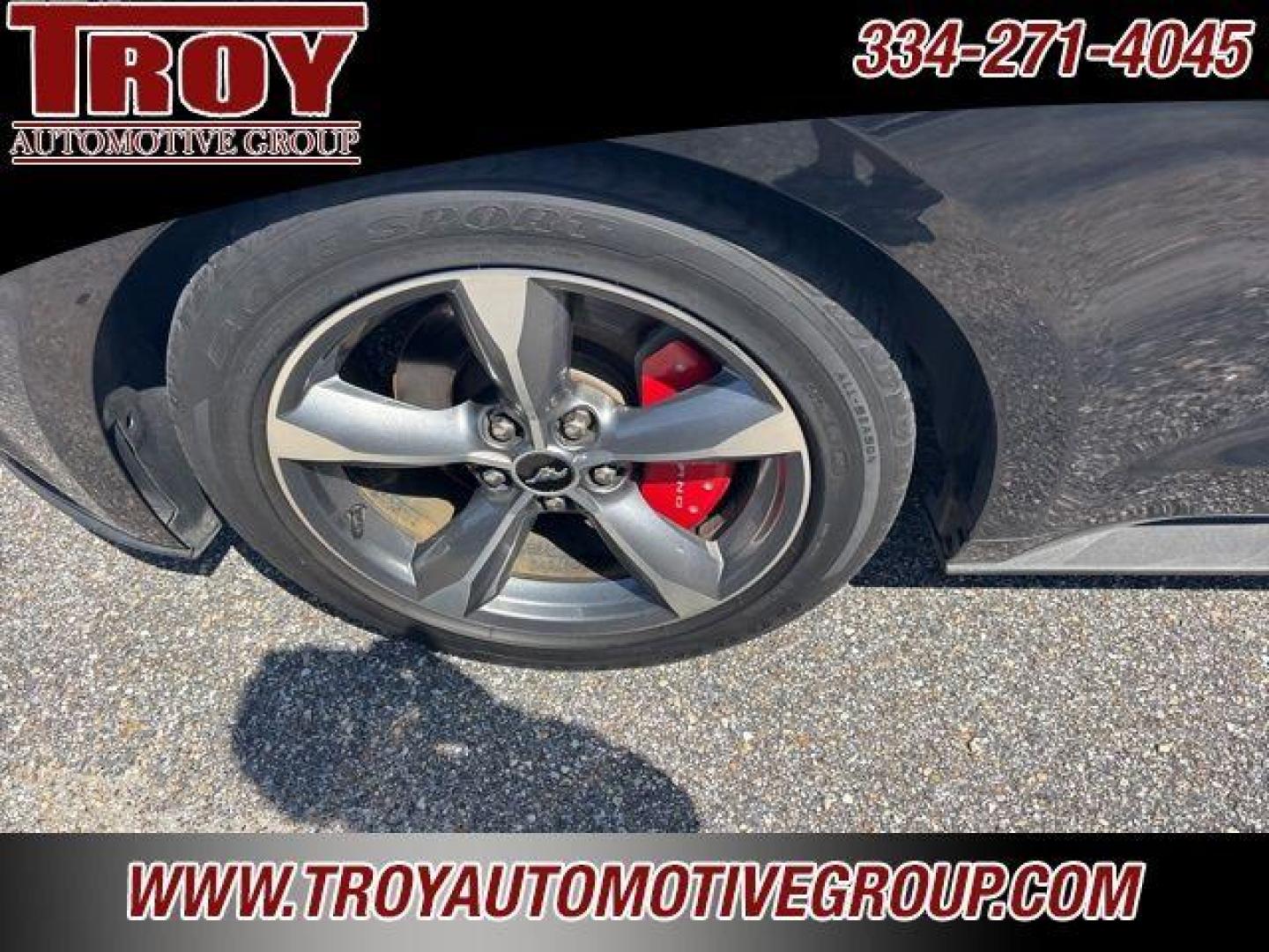 2016 Shadow Black /Ebony Ford Mustang EcoBoost Premium (1FA6P8TH9G5) with an EcoBoost 2.3L I4 GTDi DOHC Turbocharged VCT engine, Automatic transmission, located at 6812 Atlanta Hwy, Montgomery, AL, 36117, (334) 271-4045, 32.382118, -86.178673 - Recent Arrival!<br>Leather Interior!!<br>Shaker Sound System!!<br>Heated/Cooled Seats!!<br>2-Master Keys w/Remote Start!!<br><br>Shadow Black 2016 Ford Mustang EcoBoost Premium RWD EcoBoost 2.3L I4 GTDi DOHC Turbocharged VCT 6-Speed Automatic with Select-Shift<br><br>Financing Available---Top Value - Photo#13