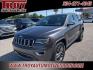 2017 Granite Crystal Metallic Clearcoat /Black Jeep Grand Cherokee Limited (1C4RJEBG7HC) with an 3.6L V6 24V VVT engine, Automatic transmission, located at 6812 Atlanta Hwy, Montgomery, AL, 36117, (334) 271-4045, 32.382118, -86.178673 - Photo#4