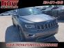 2017 Granite Crystal Metallic Clearcoat /Black Jeep Grand Cherokee Limited (1C4RJEBG7HC) with an 3.6L V6 24V VVT engine, Automatic transmission, located at 6812 Atlanta Hwy, Montgomery, AL, 36117, (334) 271-4045, 32.382118, -86.178673 - Photo#6