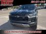 2023 Black /Jet Black Chevrolet Colorado Trail Boss (1GCPTEEK8P1) with an 2.7L Turbo engine, Automatic transmission, located at 6812 Atlanta Hwy, Montgomery, AL, 36117, (334) 271-4045, 32.382118, -86.178673 - Priced below KBB Fair Purchase Price!<br><br>Black 2023 Chevrolet Colorado Trail Boss 4WD 2.7L Turbo 8-Speed Automatic<br><br>Financing Available---Top Value for Trades.<br><br>Odometer is 26019 miles below market average! - Photo#5