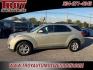2013 Champagne Silver Metallic /Black Chevrolet Equinox LT (2GNALDEK9D6) with an 2.4L 4-Cylinder SIDI DOHC engine, Automatic transmission, located at 6812 Atlanta Hwy, Montgomery, AL, 36117, (334) 271-4045, 32.382118, -86.178673 - 1-Owner!! - Photo#1