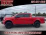 2016 Race Red /Black Ford F-150 XLT (1FTEW1EF7GF) with an 5.0L V8 FFV engine, Automatic transmission, located at 6812 Atlanta Hwy, Montgomery, AL, 36117, (334) 271-4045, 32.382118, -86.178673 - Sport Appearance Package!!<br>20 Fuel Wheels w/ Kenda Mts!<br>Level Kit!!<br>Heated Seats!!<br>Bedcover!!<br>Tow Package!!<br>FX4 Package!!<br>Remote Start!!<br>Dual Power Front Seats!!<br>Pro Trailer Back Up!! - Photo#0