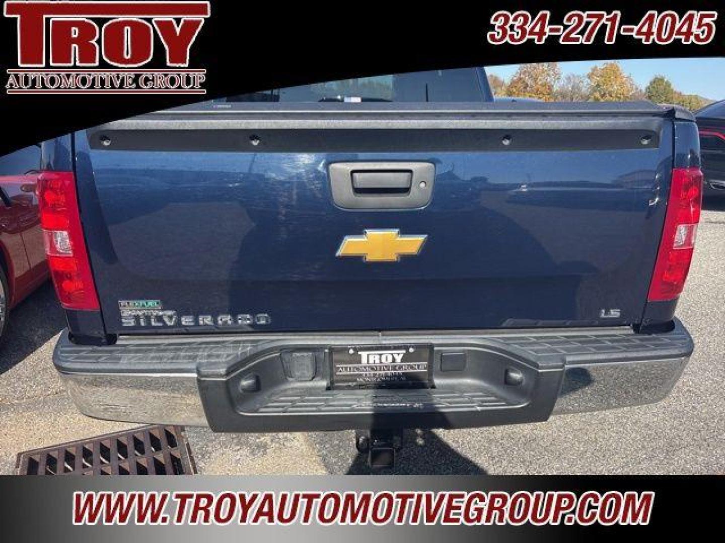 2012 Imperial Blue Metallic /Dark Titanium Chevrolet Silverado 1500 LS (1GCRCREA0CZ) with an Vortec 4.8L V8 SFI VVT Flex Fuel engine, Automatic transmission, located at 6812 Atlanta Hwy, Montgomery, AL, 36117, (334) 271-4045, 32.382118, -86.178673 - Photo#6