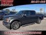 2019 Magnetic /Black Ford F-150 Lariat (1FTEW1C57KK) with an 5.0L V8 engine, Automatic transmission, located at 6812 Atlanta Hwy, Montgomery, AL, 36117, (334) 271-4045, 32.382118, -86.178673 - Photo#2