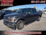 2019 Magnetic /Black Ford F-150 Lariat (1FTEW1C57KK) with an 5.0L V8 engine, Automatic transmission, located at 6812 Atlanta Hwy, Montgomery, AL, 36117, (334) 271-4045, 32.382118, -86.178673 - Photo#3
