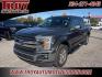 2019 Magnetic /Black Ford F-150 Lariat (1FTEW1C57KK) with an 5.0L V8 engine, Automatic transmission, located at 6812 Atlanta Hwy, Montgomery, AL, 36117, (334) 271-4045, 32.382118, -86.178673 - Photo#4