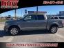 2010 Sterling Gray Metallic /Sienna Brown/Black Ford F-150 Platinum (1FTFW1CVXAF) with an 5.4L V8 EFI 24V FFV engine, Automatic transmission, located at 6812 Atlanta Hwy, Montgomery, AL, 36117, (334) 271-4045, 32.382118, -86.178673 - Platinum- 1-Owner!! Perfect Carfax Service History!!<br>58-Service Records!!<br>Power Running Boards!!<br>Power Sunroof!!<br>20 Premium Wheels!!<br>Navigation!! - Photo#0