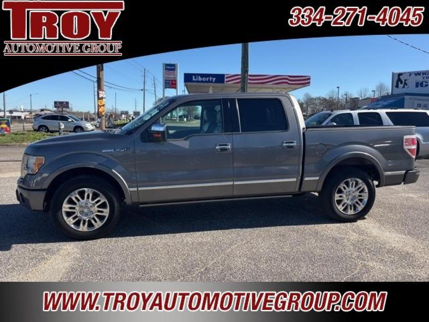 2010 Sterling Gray Metallic /Sienna Brown/Black Ford F-150 Platinum (1FTFW1CVXAF) with an 5.4L V8 EFI 24V FFV engine, Automatic transmission, located at 6812 Atlanta Hwy, Montgomery, AL, 36117, (334) 271-4045, 32.382118, -86.178673 - Platinum- 1-Owner!! Perfect Carfax Service History!!<br>58-Service Records!!<br>Power Running Boards!!<br>Power Sunroof!!<br>20 Premium Wheels!!<br>Navigation!! - Photo#1
