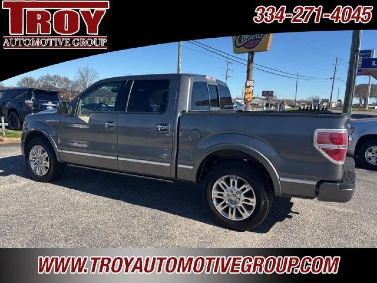 2010 Sterling Gray Metallic /Sienna Brown/Black Ford F-150 Platinum (1FTFW1CVXAF) with an 5.4L V8 EFI 24V FFV engine, Automatic transmission, located at 6812 Atlanta Hwy, Montgomery, AL, 36117, (334) 271-4045, 32.382118, -86.178673 - Platinum- 1-Owner!! Perfect Carfax Service History!!<br>58-Service Records!!<br>Power Running Boards!!<br>Power Sunroof!!<br>20 Premium Wheels!!<br>Navigation!! - Photo#3