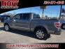 2010 Sterling Gray Metallic /Sienna Brown/Black Ford F-150 Platinum (1FTFW1CVXAF) with an 5.4L V8 EFI 24V FFV engine, Automatic transmission, located at 6812 Atlanta Hwy, Montgomery, AL, 36117, (334) 271-4045, 32.382118, -86.178673 - Platinum- 1-Owner!! Perfect Carfax Service History!!<br>58-Service Records!!<br>Power Running Boards!!<br>Power Sunroof!!<br>20 Premium Wheels!!<br>Navigation!! - Photo#3