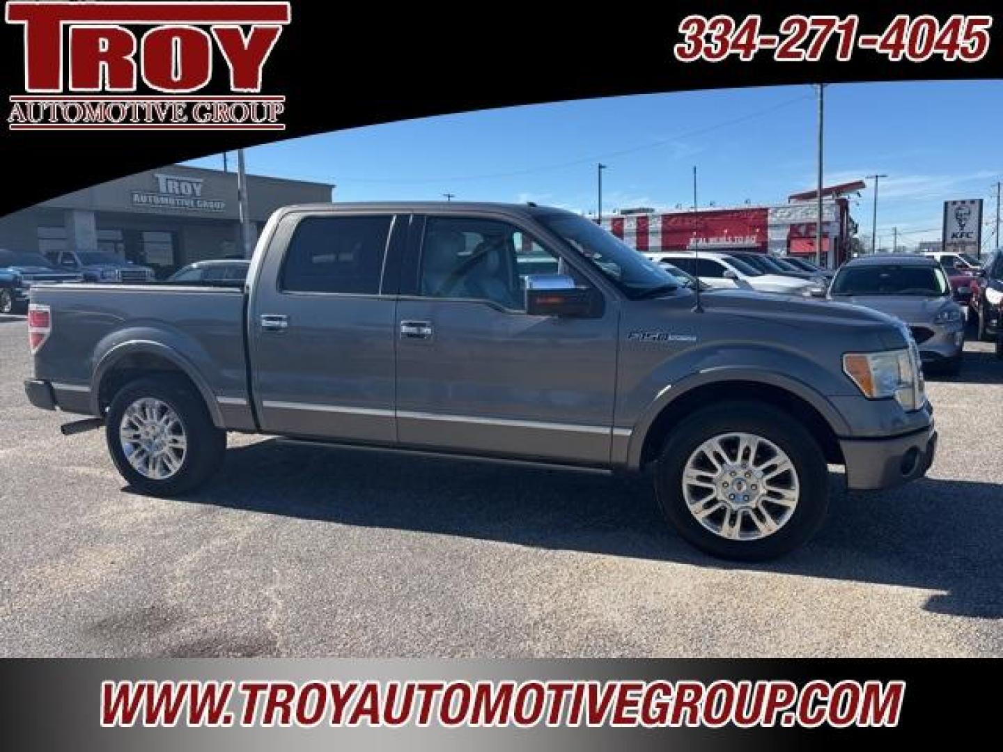 2010 Sterling Gray Metallic /Sienna Brown/Black Ford F-150 Platinum (1FTFW1CVXAF) with an 5.4L V8 EFI 24V FFV engine, Automatic transmission, located at 6812 Atlanta Hwy, Montgomery, AL, 36117, (334) 271-4045, 32.382118, -86.178673 - Platinum- 1-Owner!! Perfect Carfax Service History!!<br>58-Service Records!!<br>Power Running Boards!!<br>Power Sunroof!!<br>20 Premium Wheels!!<br>Navigation!! - Photo#5