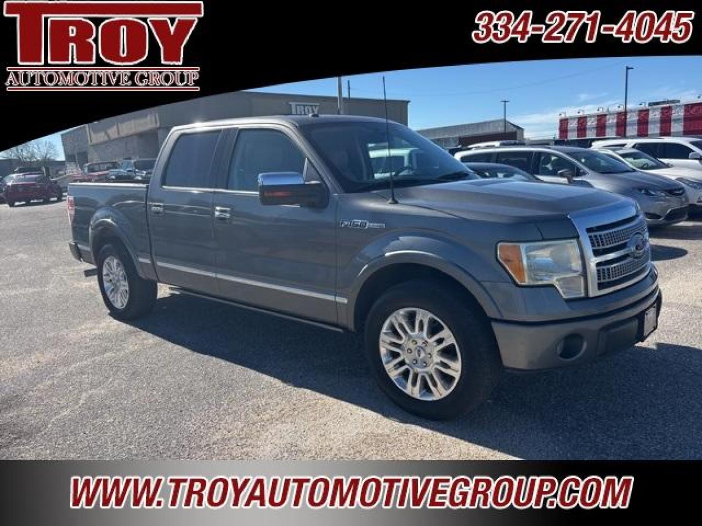 2010 Sterling Gray Metallic /Sienna Brown/Black Ford F-150 Platinum (1FTFW1CVXAF) with an 5.4L V8 EFI 24V FFV engine, Automatic transmission, located at 6812 Atlanta Hwy, Montgomery, AL, 36117, (334) 271-4045, 32.382118, -86.178673 - Platinum- 1-Owner!! Perfect Carfax Service History!!<br>58-Service Records!!<br>Power Running Boards!!<br>Power Sunroof!!<br>20 Premium Wheels!!<br>Navigation!! - Photo#10