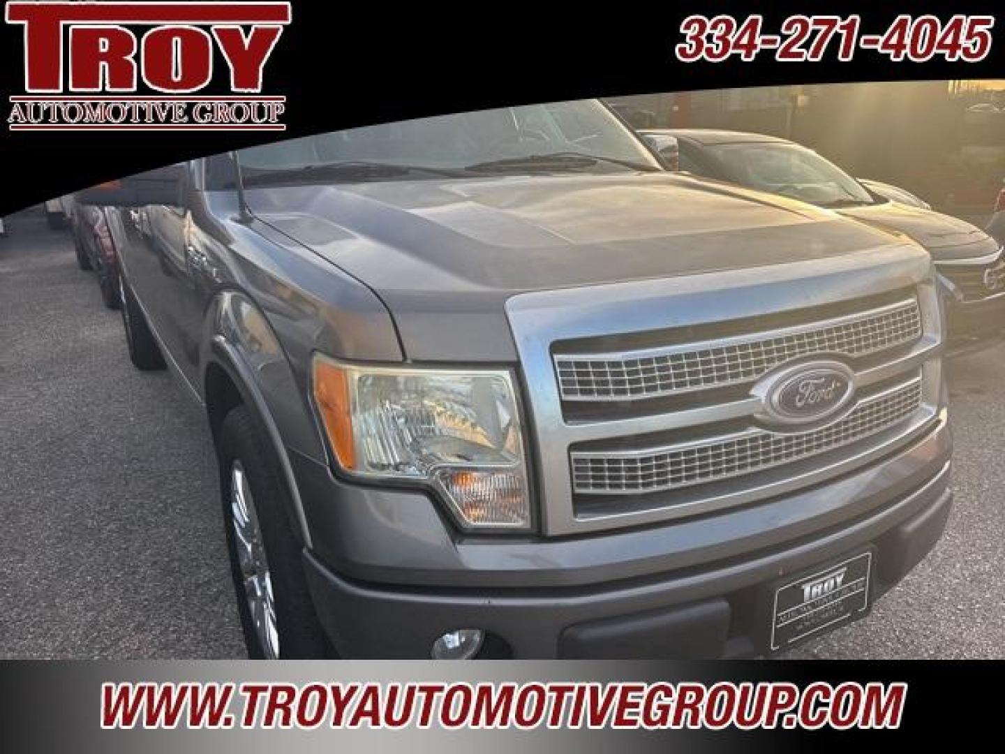 2010 Sterling Gray Metallic /Sienna Brown/Black Ford F-150 Platinum (1FTFW1CVXAF) with an 5.4L V8 EFI 24V FFV engine, Automatic transmission, located at 6812 Atlanta Hwy, Montgomery, AL, 36117, (334) 271-4045, 32.382118, -86.178673 - Platinum- 1-Owner!! Perfect Carfax Service History!!<br>58-Service Records!!<br>Power Running Boards!!<br>Power Sunroof!!<br>20 Premium Wheels!!<br>Navigation!! - Photo#22
