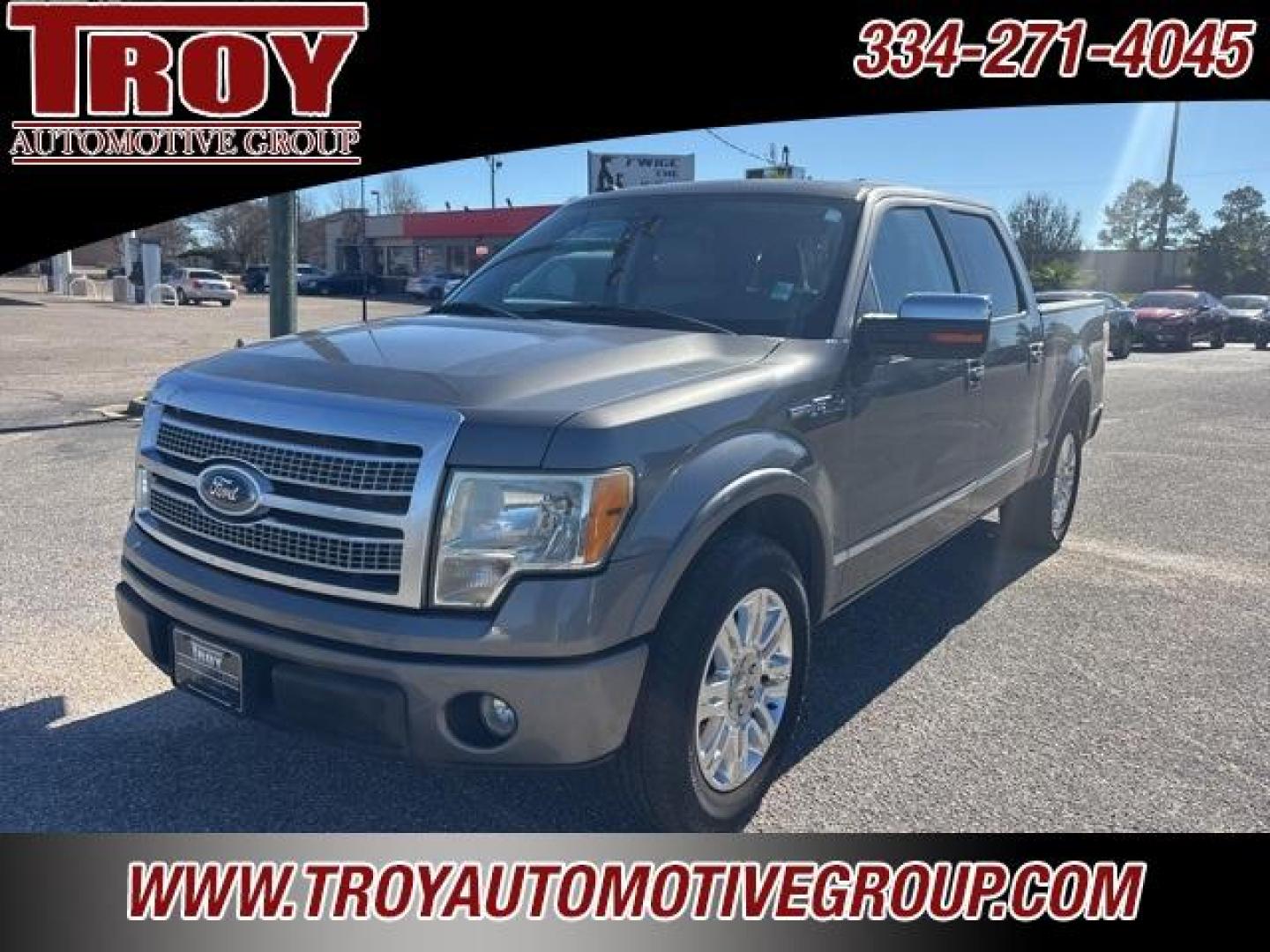 2010 Sterling Gray Metallic /Sienna Brown/Black Ford F-150 Platinum (1FTFW1CVXAF) with an 5.4L V8 EFI 24V FFV engine, Automatic transmission, located at 6812 Atlanta Hwy, Montgomery, AL, 36117, (334) 271-4045, 32.382118, -86.178673 - Platinum- 1-Owner!! Perfect Carfax Service History!!<br>58-Service Records!!<br>Power Running Boards!!<br>Power Sunroof!!<br>20 Premium Wheels!!<br>Navigation!! - Photo#26