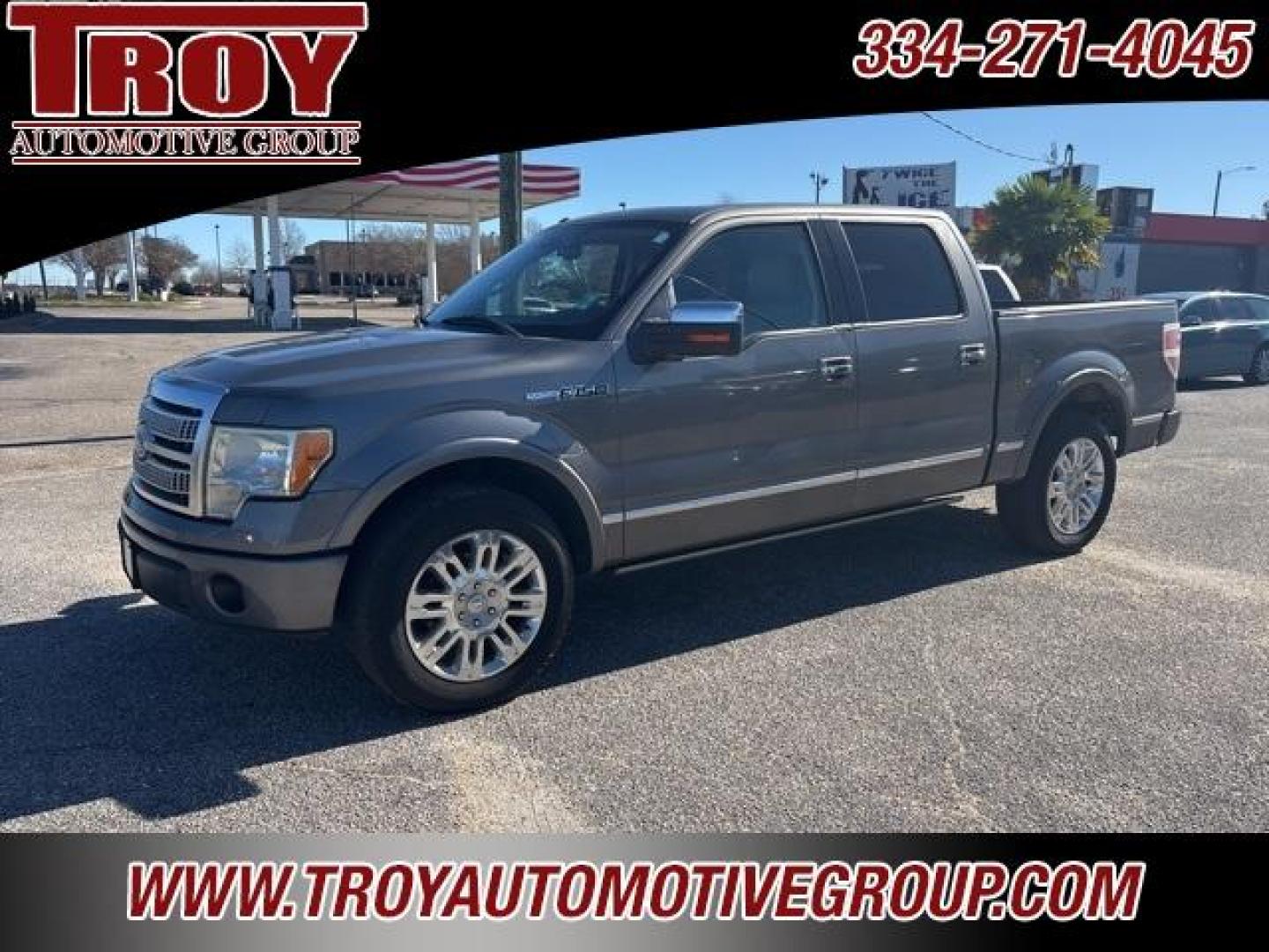 2010 Sterling Gray Metallic /Sienna Brown/Black Ford F-150 Platinum (1FTFW1CVXAF) with an 5.4L V8 EFI 24V FFV engine, Automatic transmission, located at 6812 Atlanta Hwy, Montgomery, AL, 36117, (334) 271-4045, 32.382118, -86.178673 - Platinum- 1-Owner!! Perfect Carfax Service History!!<br>58-Service Records!!<br>Power Running Boards!!<br>Power Sunroof!!<br>20 Premium Wheels!!<br>Navigation!! - Photo#27