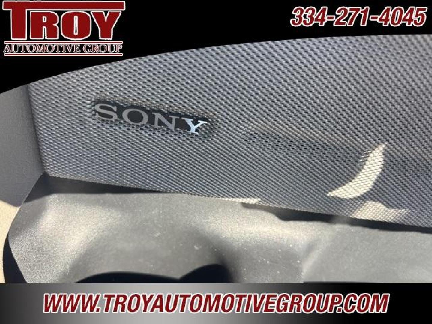 2010 Sterling Gray Metallic /Sienna Brown/Black Ford F-150 Platinum (1FTFW1CVXAF) with an 5.4L V8 EFI 24V FFV engine, Automatic transmission, located at 6812 Atlanta Hwy, Montgomery, AL, 36117, (334) 271-4045, 32.382118, -86.178673 - Platinum- 1-Owner!! Perfect Carfax Service History!!<br>58-Service Records!!<br>Power Running Boards!!<br>Power Sunroof!!<br>20 Premium Wheels!!<br>Navigation!! - Photo#45