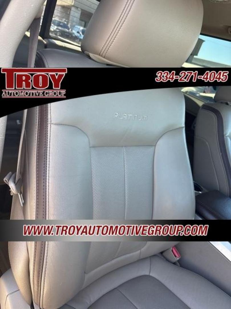 2010 Sterling Gray Metallic /Sienna Brown/Black Ford F-150 Platinum (1FTFW1CVXAF) with an 5.4L V8 EFI 24V FFV engine, Automatic transmission, located at 6812 Atlanta Hwy, Montgomery, AL, 36117, (334) 271-4045, 32.382118, -86.178673 - Platinum- 1-Owner!! Perfect Carfax Service History!!<br>58-Service Records!!<br>Power Running Boards!!<br>Power Sunroof!!<br>20 Premium Wheels!!<br>Navigation!! - Photo#47