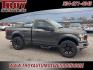 2018 Magnetic /Medium Earth Gray Ford F-150 XL (1FTMF1EB8JK) with an 3.3L V6 engine, Automatic transmission, located at 6812 Atlanta Hwy, Montgomery, AL, 36117, (334) 271-4045, 32.382118, -86.178673 - Power Windows/Locks!!<br>Step Bars!!<br>Tow Package!!<br>New 20 Wheels and Tires!! - Photo#5