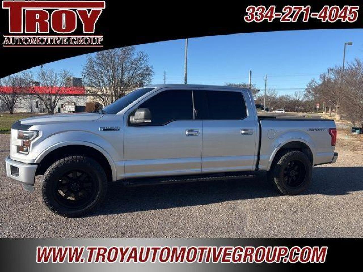 2015 Ingot Silver /Black Ford F-150 XLT (1FTEW1CP8FF) with an 2.7L V6 EcoBoost engine, Automatic transmission, located at 6812 Atlanta Hwy, Montgomery, AL, 36117, (334) 271-4045, 32.382118, -86.178673 - Photo#1