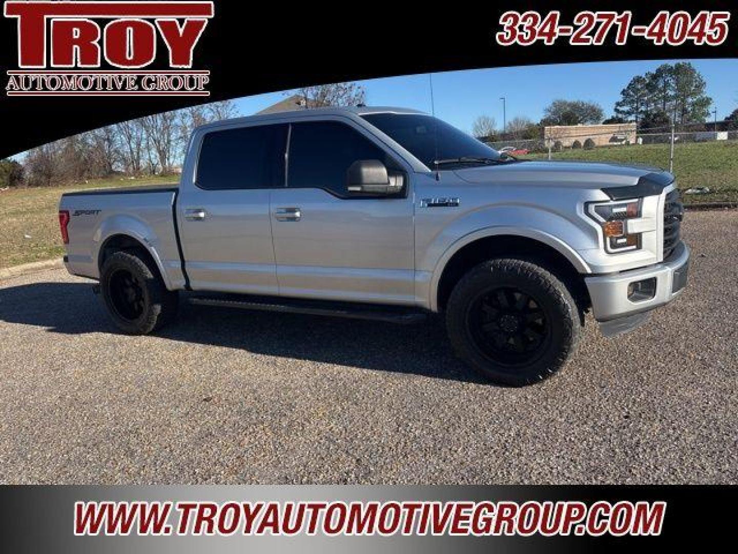 2015 Ingot Silver /Black Ford F-150 XLT (1FTEW1CP8FF) with an 2.7L V6 EcoBoost engine, Automatic transmission, located at 6812 Atlanta Hwy, Montgomery, AL, 36117, (334) 271-4045, 32.382118, -86.178673 - Photo#8