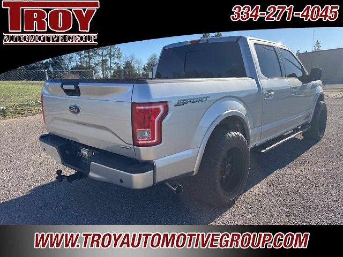 2015 Ingot Silver /Black Ford F-150 XLT (1FTEW1CP8FF) with an 2.7L V6 EcoBoost engine, Automatic transmission, located at 6812 Atlanta Hwy, Montgomery, AL, 36117, (334) 271-4045, 32.382118, -86.178673 - Photo#12